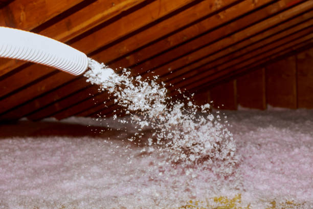 Best Commercial Insulation in Oakland, OK