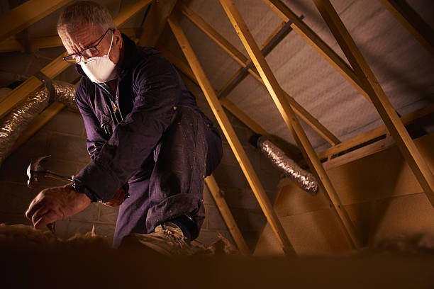 Best Eco-Friendly Insulation in Oakland, OK